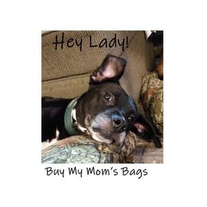 Bags - Vera Bradley & More!